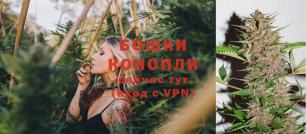 спайс Пересвет