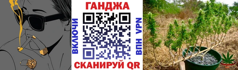 Шишки марихуана план  где купить наркотик  Карабаново 